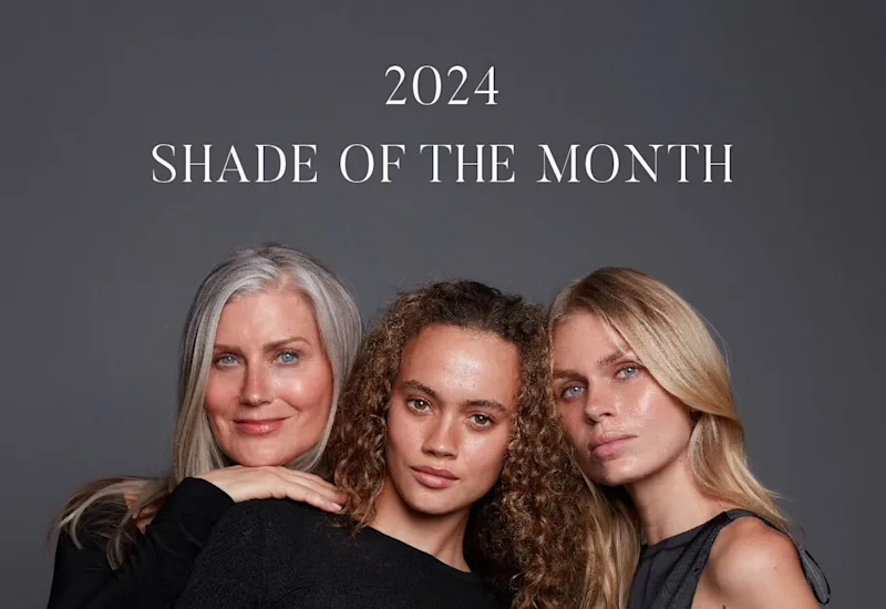2024 Shade of the Month: December feature image