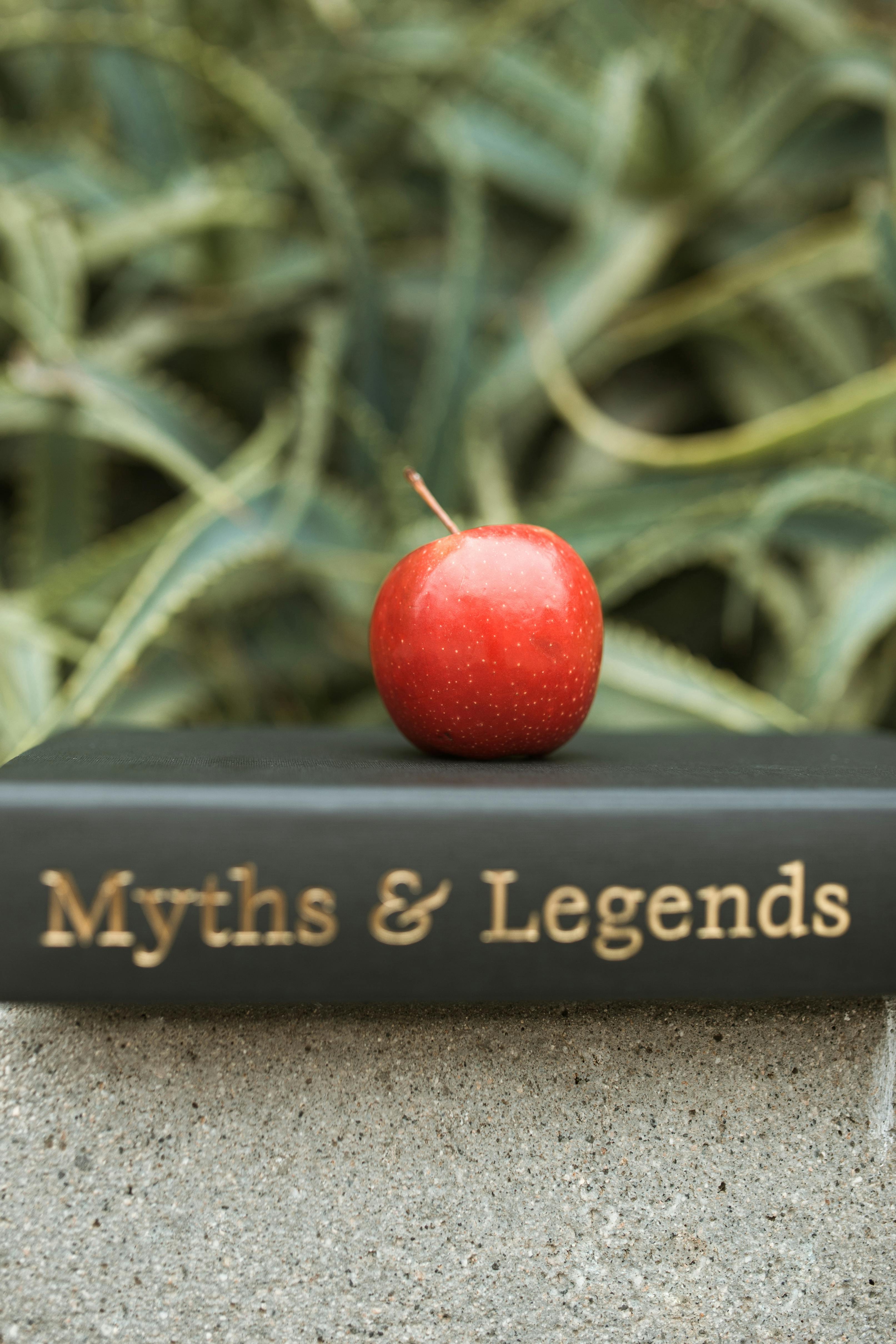 Myths & Legends book