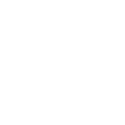 Payal Logo