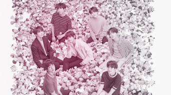BTS Pink