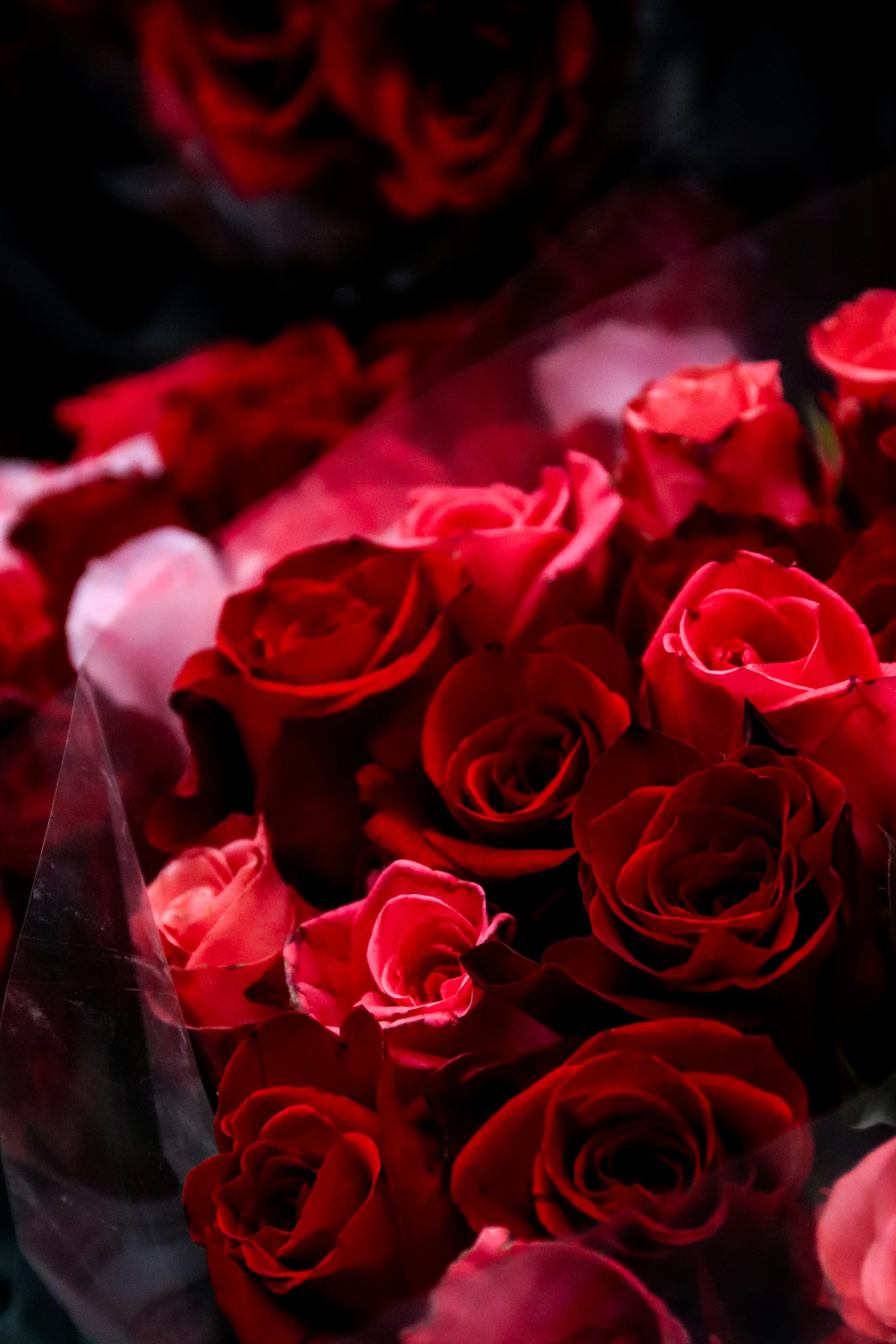 Bouque of Red Roses