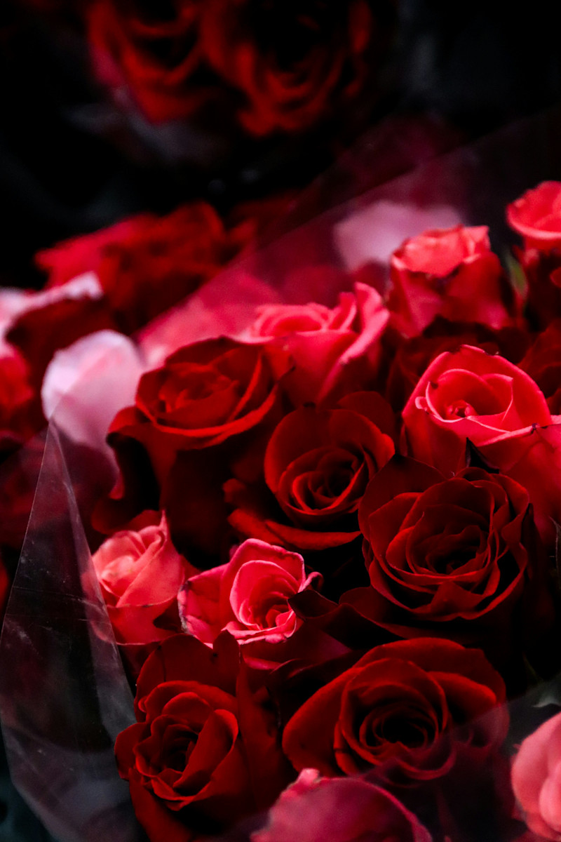 Bouque of Red Roses
