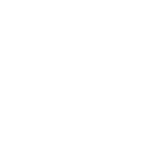 Bulldozer Group Logo