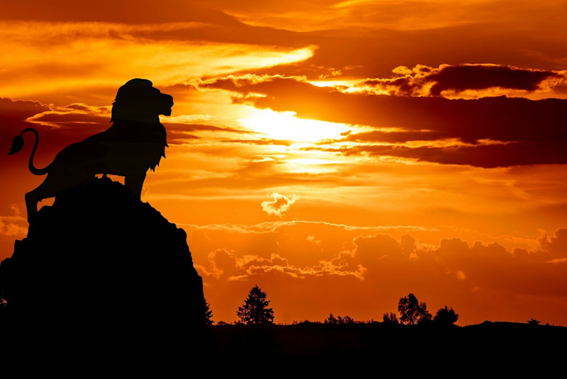 Lion King
