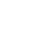 Renaissance Hotels Logo