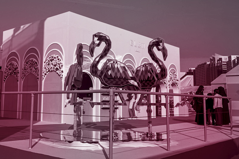 Flamingoes
