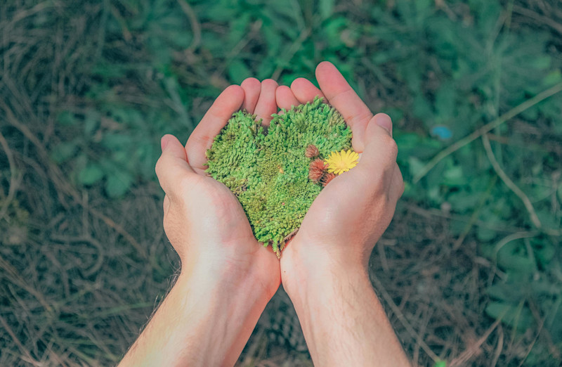 Sustainability