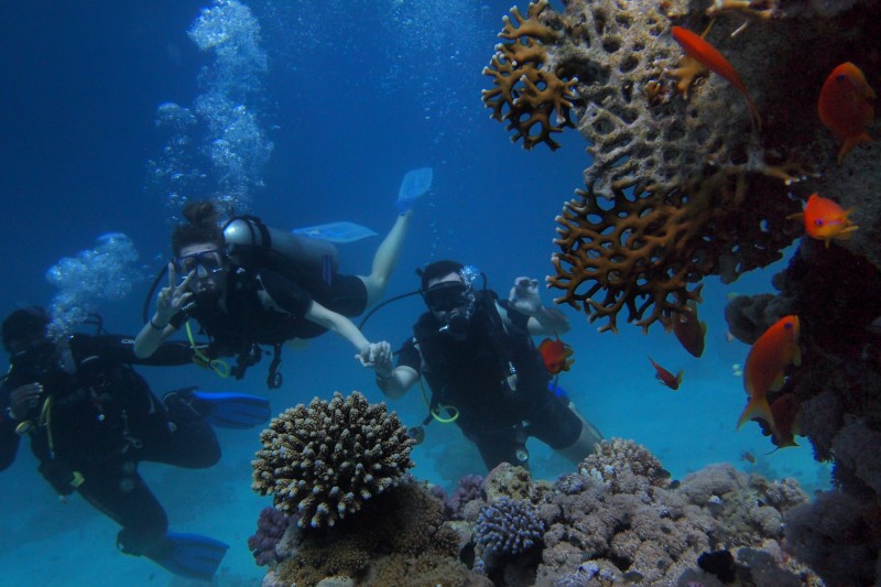 Scuba Diving in UAE 