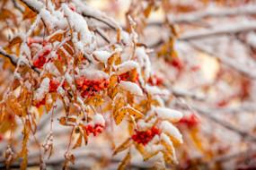 The Changing Seasons