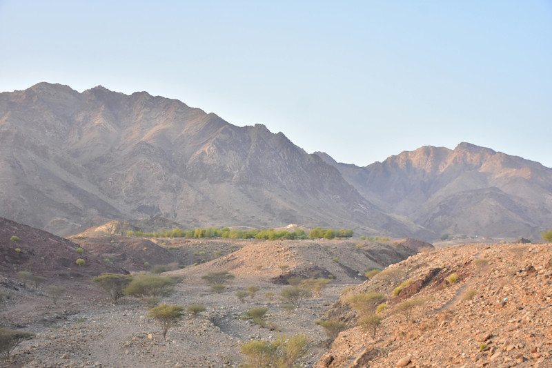Hatta Scenery