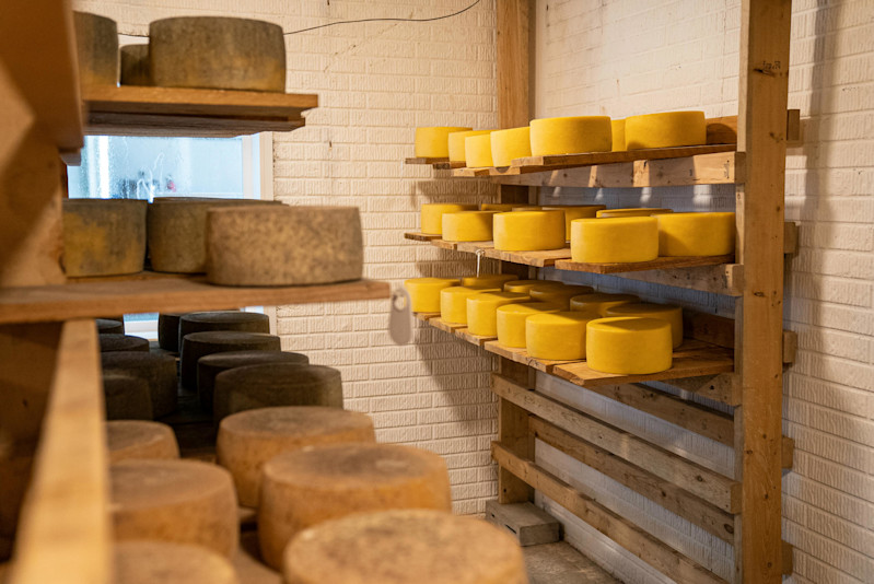 Cheese storehouse