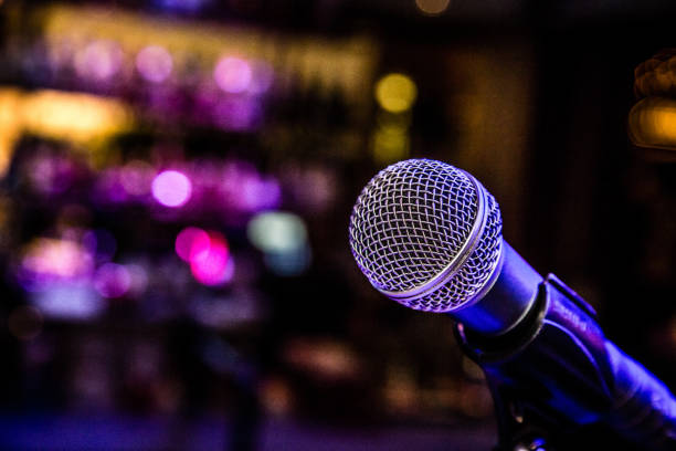 Karaoke microphone