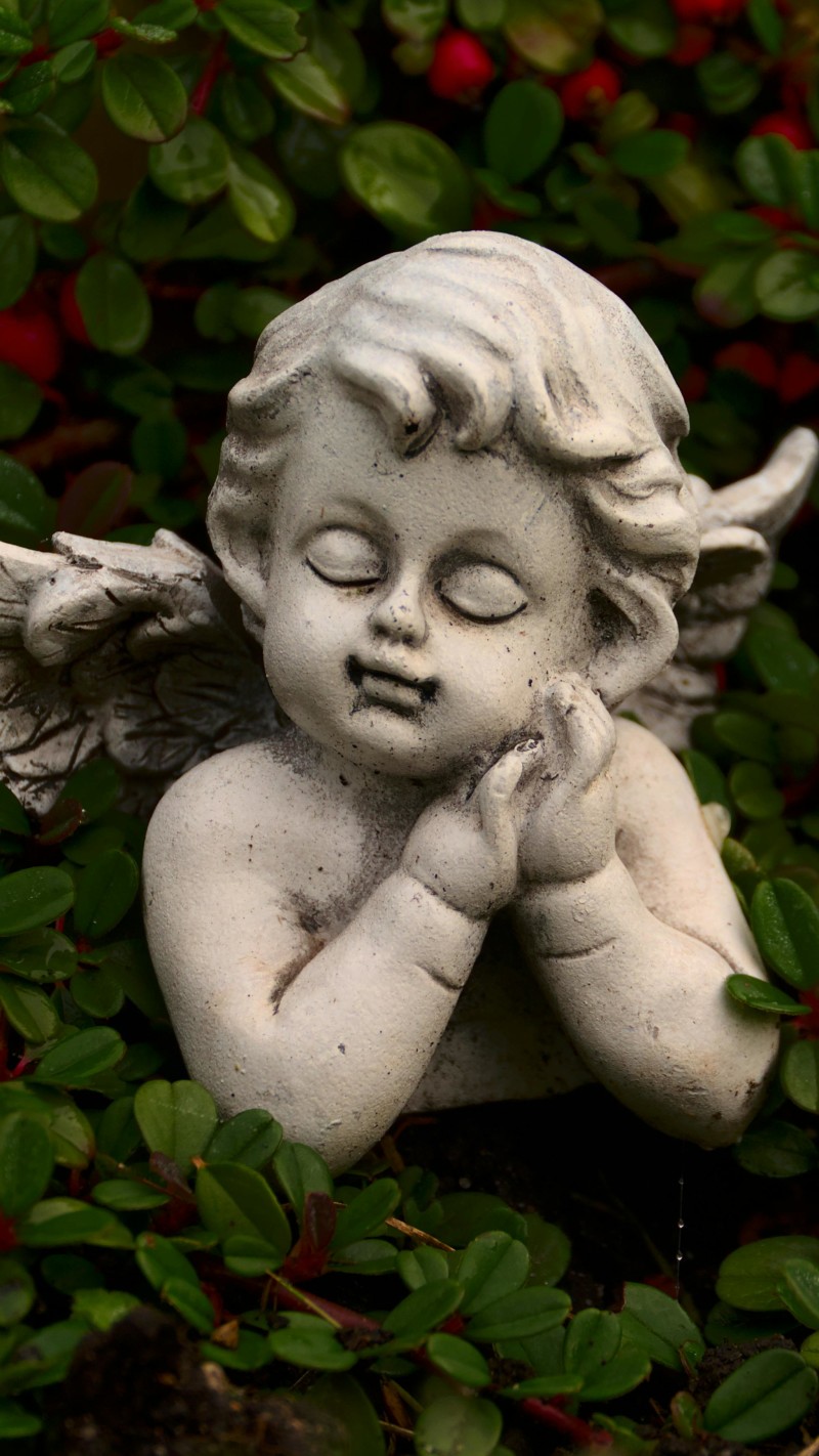 Bust of Cupid