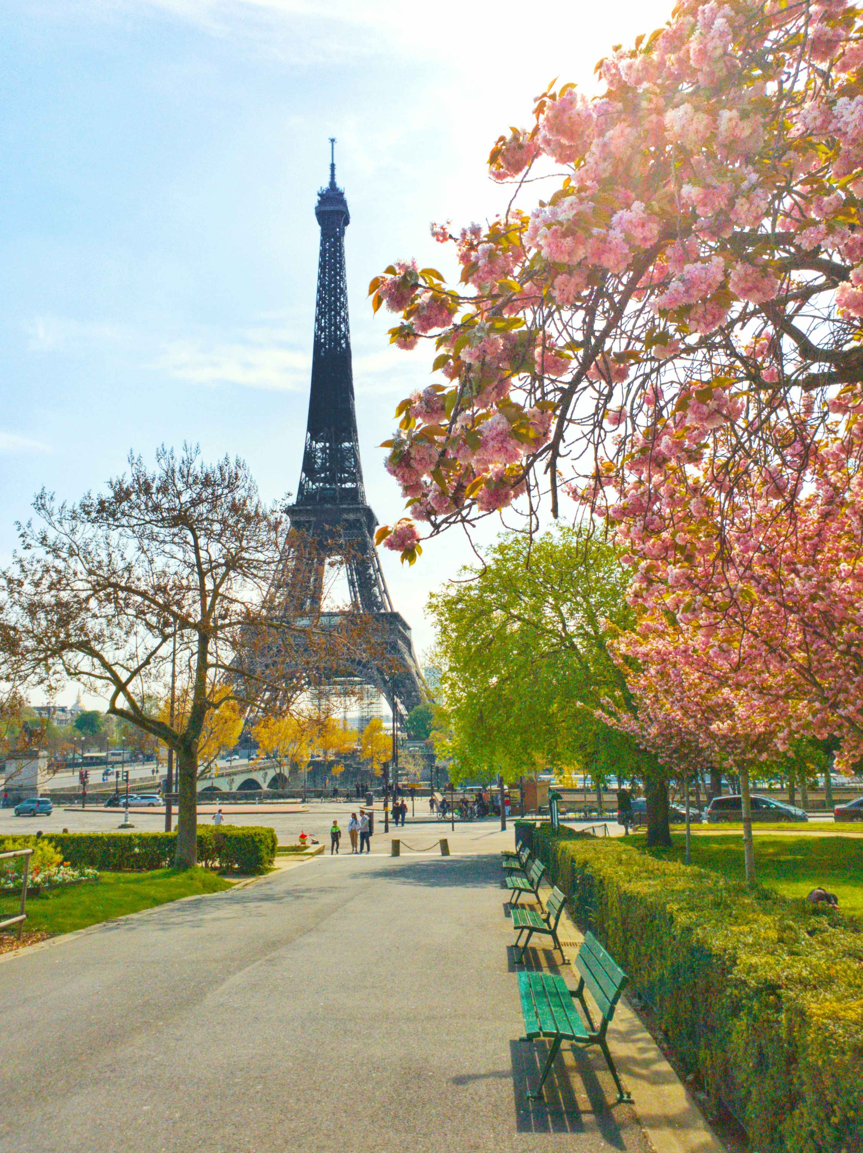 The Eiffel Tower in Spring
