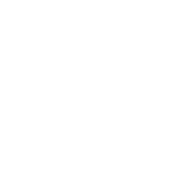 Bombay Borough