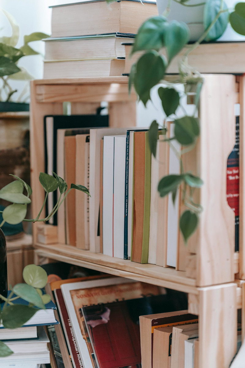 Shelf with books