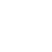 Paris Gallery Logo