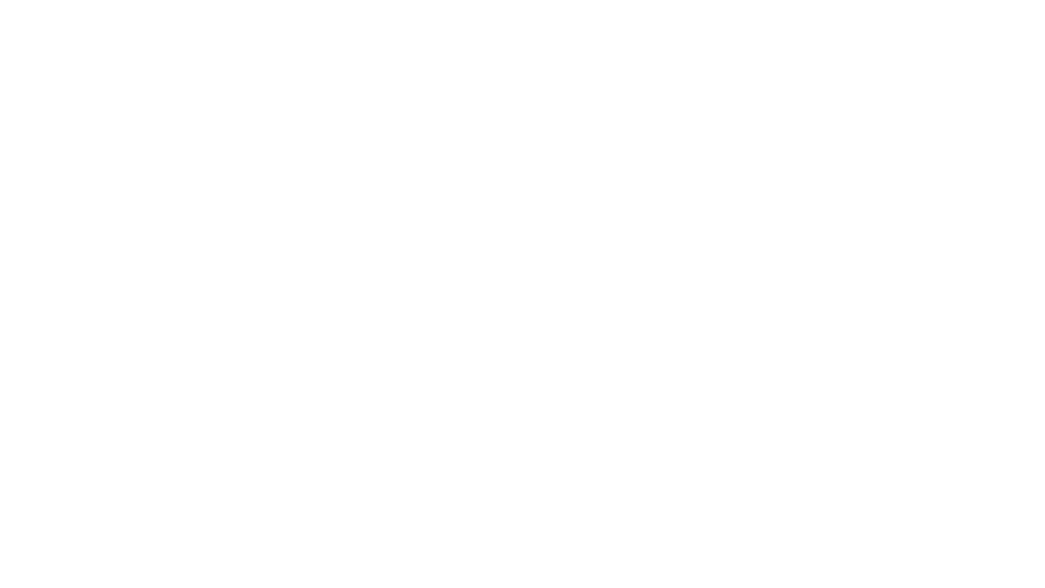 Four Seasons White Logo