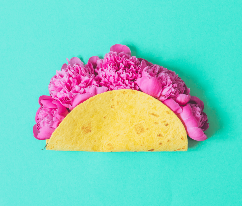 Pink Flowers in Taco Shell
