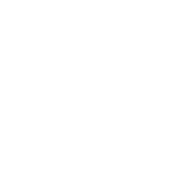 Freedom Pizza copy