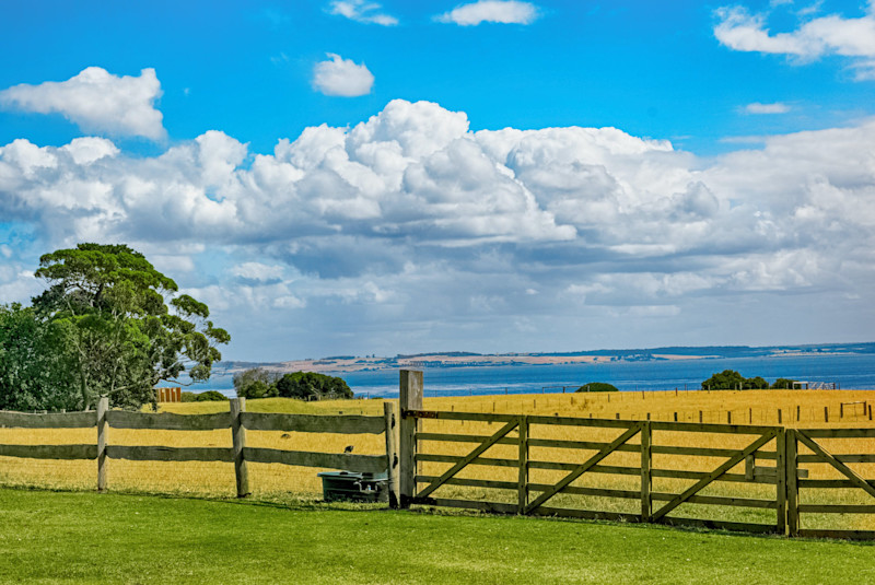 On the fence