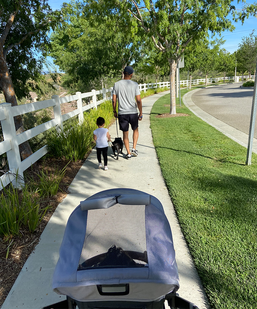 Wes walking with his kids and dog