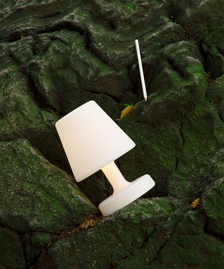Moss and lamp
