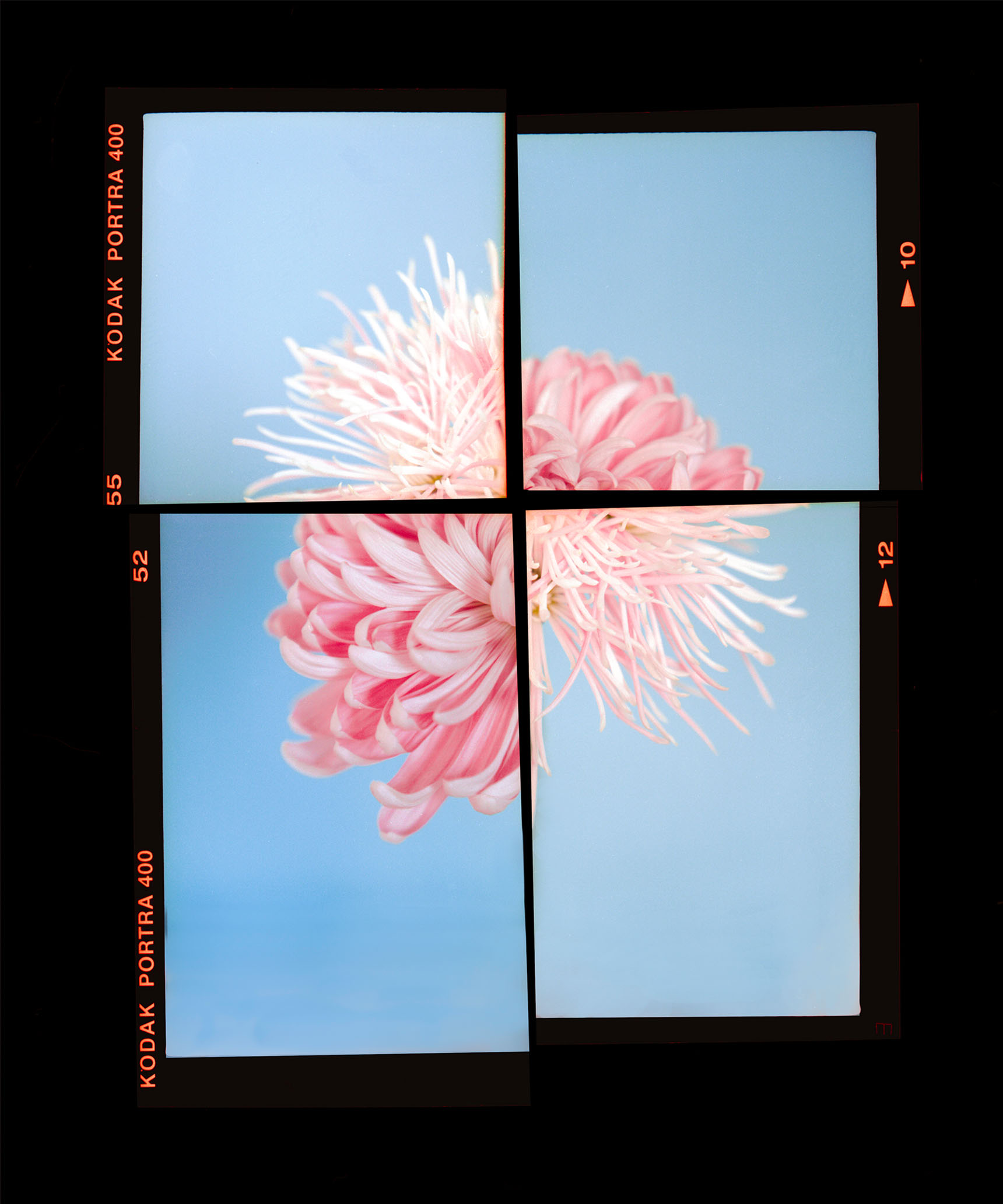 How to create a UX writing portfolio | Dropbox Design