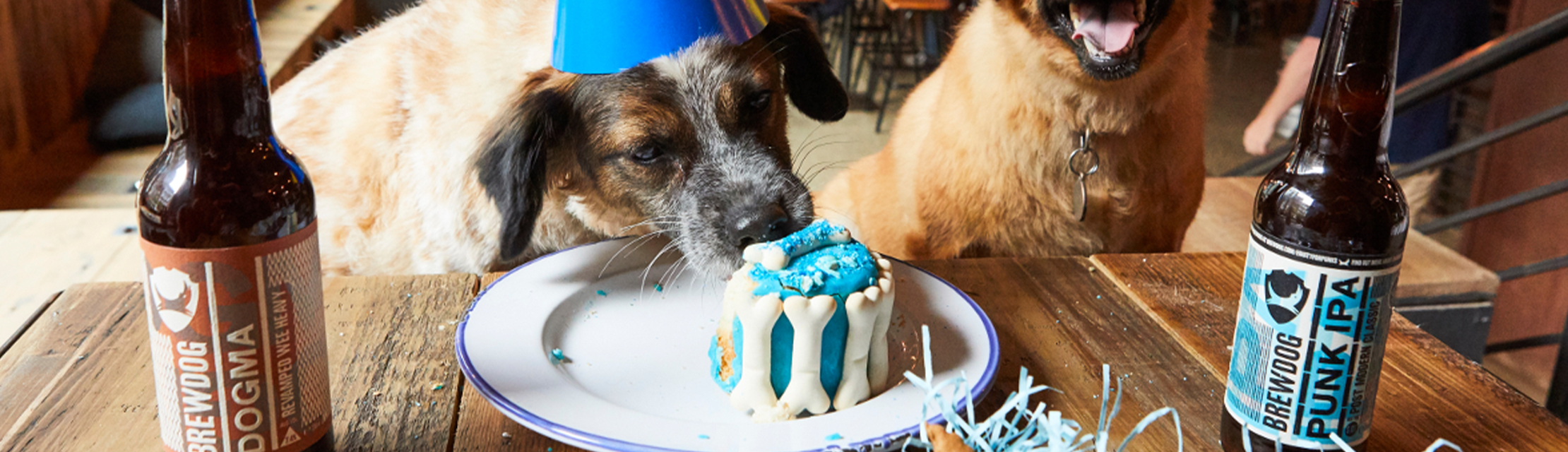 brewdog dog birthday party