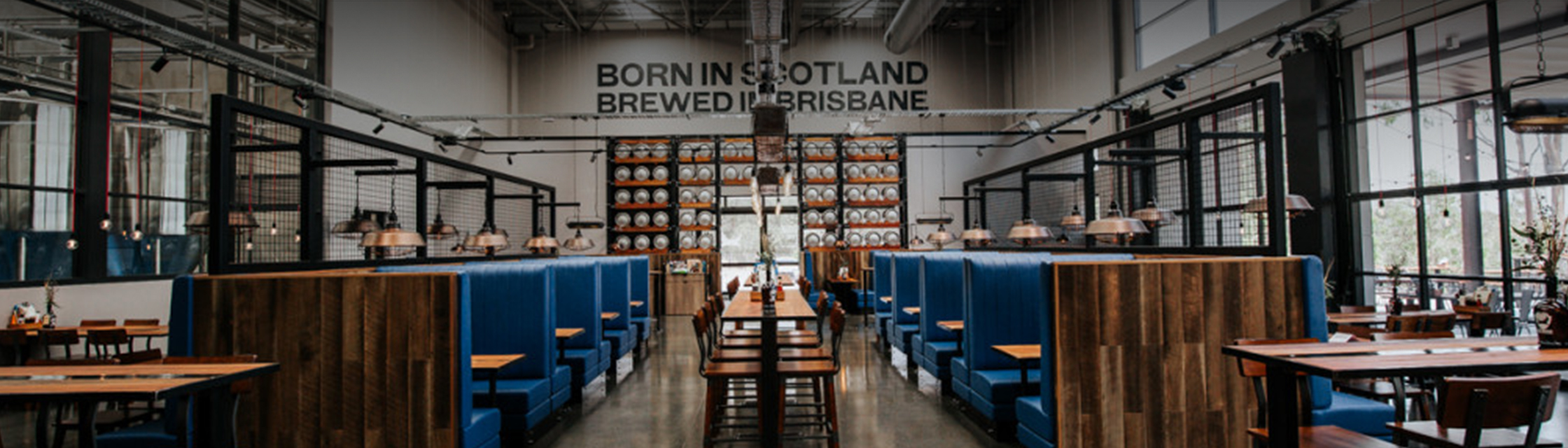 Brisbane Brewery Brewdog