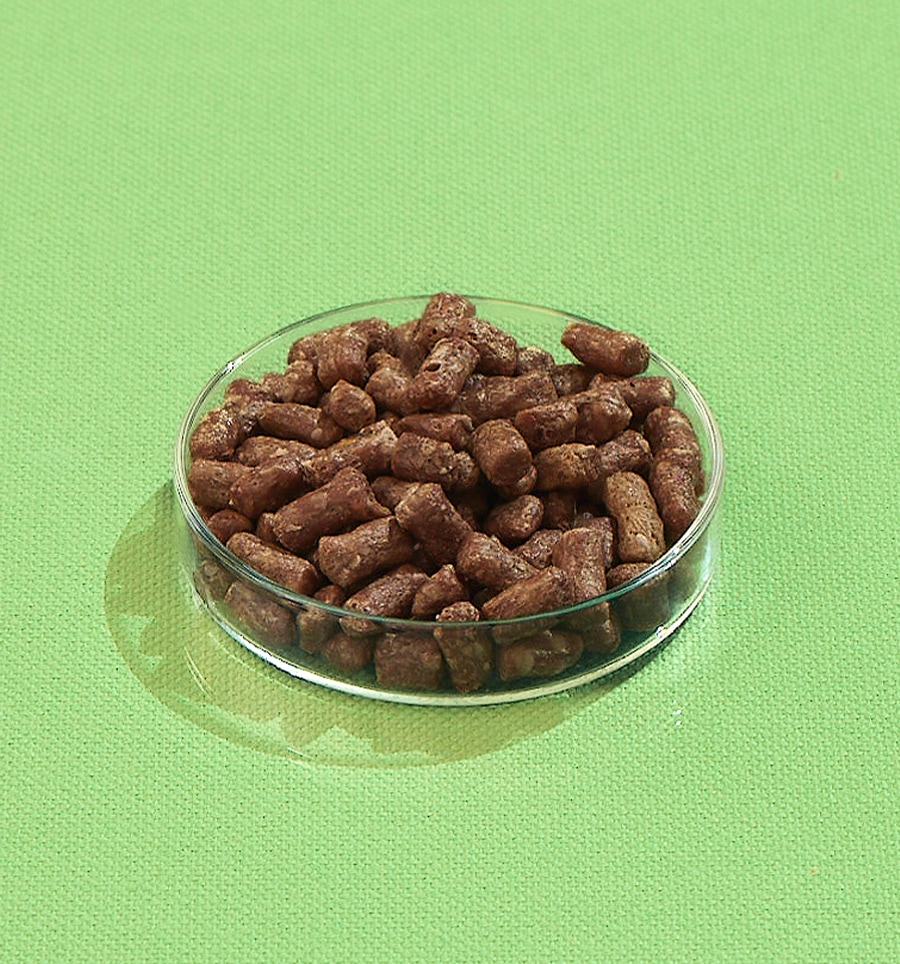 purpose freeze dried cat food