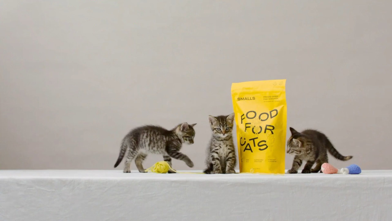 FreezeDried Raw, Dry Cat Food Smalls