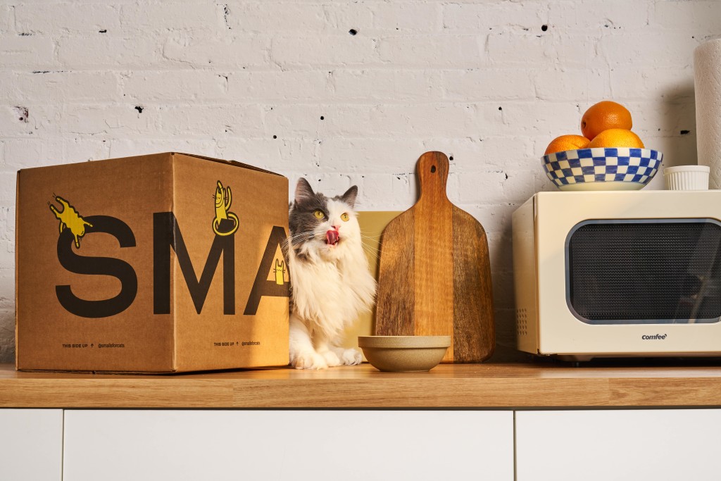 The image shows a kitchen scene with a fluffy gray and white cat sitting on a wooden countertop. The cat, with bright yellow eyes and a pink nose, is licking its lips, suggesting anticipation or satisfaction. To the left of the cat is a large cardboard box with the word "SMALLS" partially visible and playful cat illustrations printed in black and yellow. On the countertop, in front of the cat, is a light brown bowl. To the right of the cat, there are two wooden cutting boards leaning against a white brick wall. In the background, there is a retro-looking cream-colored microwave, and on top of it is a blue-and-white checkered bowl filled with bright orange citrus fruits. The setting has a cozy and homey feel, with warm lighting highlighting the textures of the wood and the cat's fur.