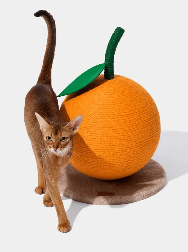 The vibrant tangerine color adds a pop of freshness to any room, while the sturdy construction ensures stability during playtime. Perfectly designed to satisfy your cat’s natural instincts, it features a durable sisal surface and a stable base for endless entertainment. A blend of functionality and quirky decor for pet owners who love unique pet furniture!