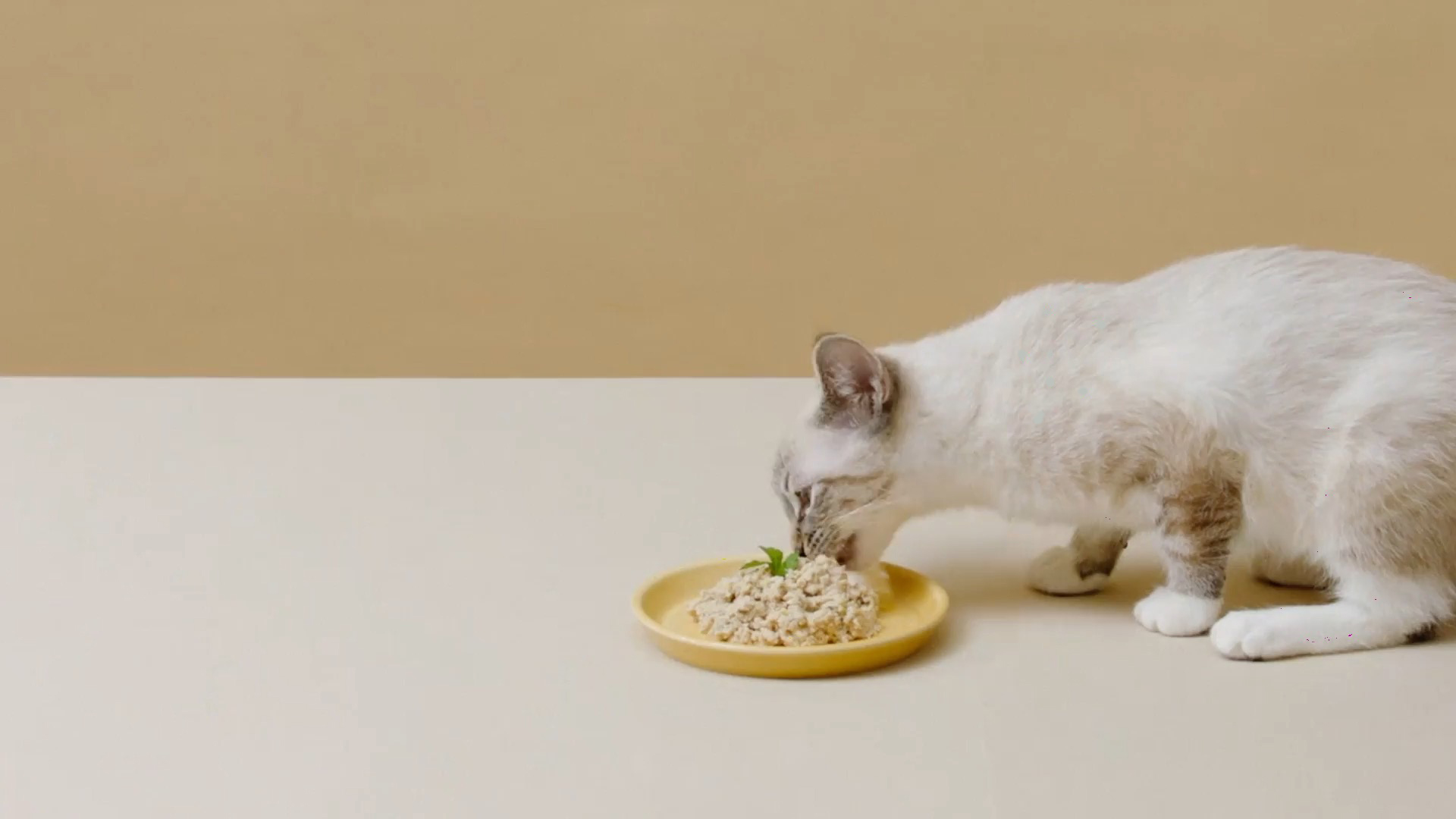 HumanGrade Fresh, Wet Cat Food Smalls