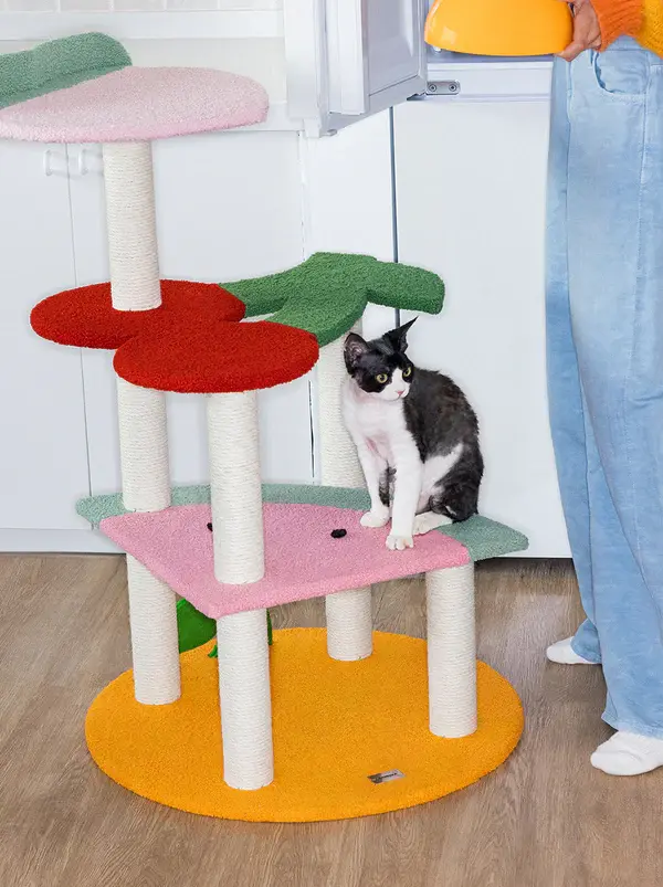 This delightful cat climber features four platforms inspired by nature's sweetest treats: a juicy peach, a plump cherry, a refreshing watermelon, and a tangy tangerine. Each platform offers a cozy haven for your feline friend to relax, play, and survey their kingdom. The jute-wrapped posts provide an irresistible scratching surface, satisfying your cat's natural instinct to scratch while keeping their claws healthy. Made with sturdy materials and crafted with attention to detail, this cat climber provides a secure and engaging environment for your cat's climbing and exploring needs. The vibrant colors, whimsical fruit designs, and jute-wrapped posts not only add a playful touch to your home but also provide a multi-functional space for your cat's entertainment.