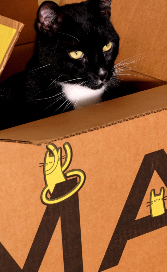 Ready go to ... https://smalls.com/meidas [ Fresh Human-Grade Cat Food Delivery | Smalls]