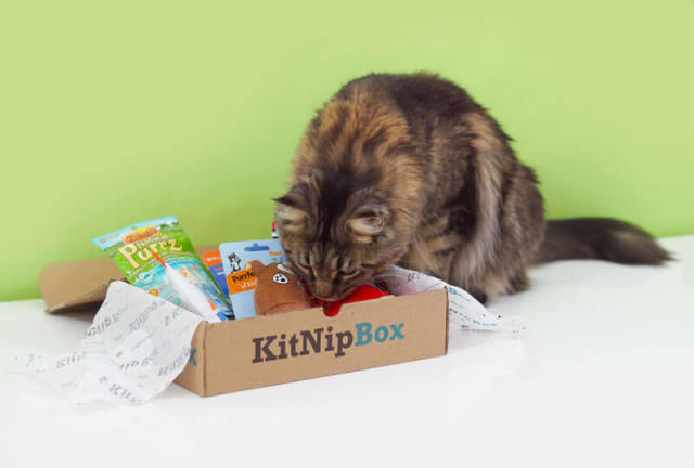 KitNipBox’s monthly subscription boxes for cats include high-quality cat toys, all-natural treats, and other fun, healthy cat products.