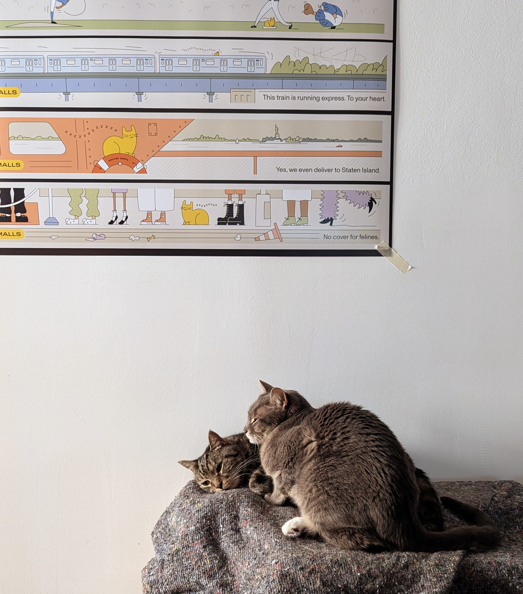 The image shows two cats resting on a gray textured surface, likely a cat bed or furniture. One cat is curled up while the other sits upright next to it. Both cats appear to be gray or tabby in color. Above them on the wall is a framed art piece featuring several cartoon-style illustrations.