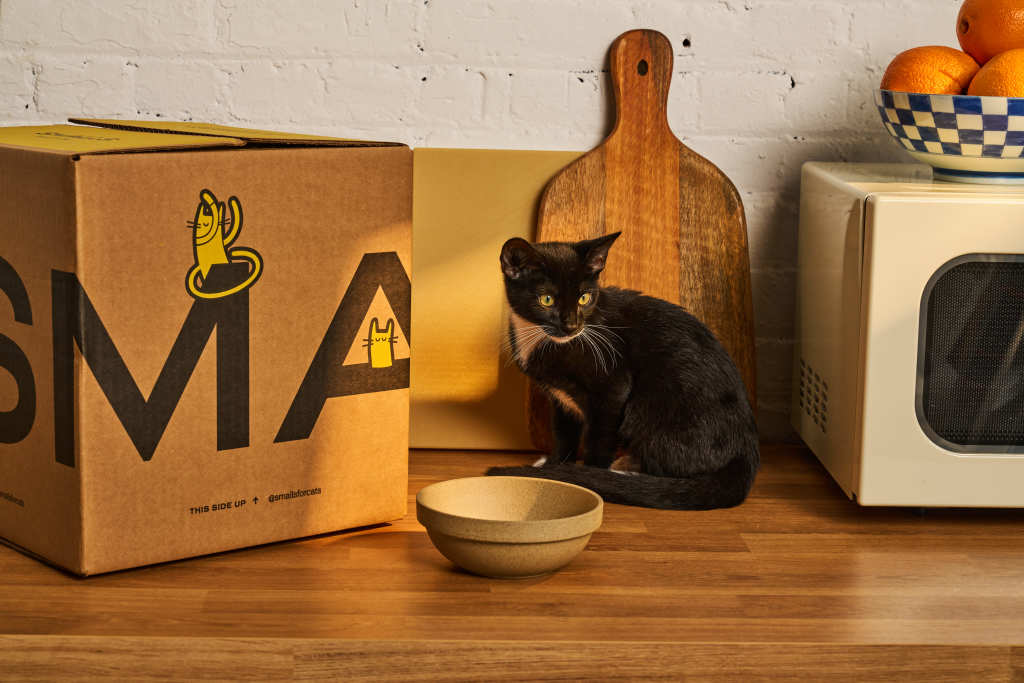 This image features a small black and white cat sitting on a wooden kitchen counter next to a large cardboard box. The box has the word "SMALLS" printed in large black letters, with a playful yellow cat graphic integrated into the letters. In front of the cat, there is an empty tan-colored bowl. Behind the cat, there are two wooden cutting boards, one standing upright, leaning against a white brick wall. On the right side of the image, a bowl of oranges and a microwave are partially visible, adding a homey feel to the scene. The lighting is warm, giving the image a cozy, natural atmosphere.