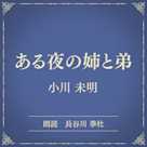 ある夜の姉と弟(小学館の名作文芸朗読)