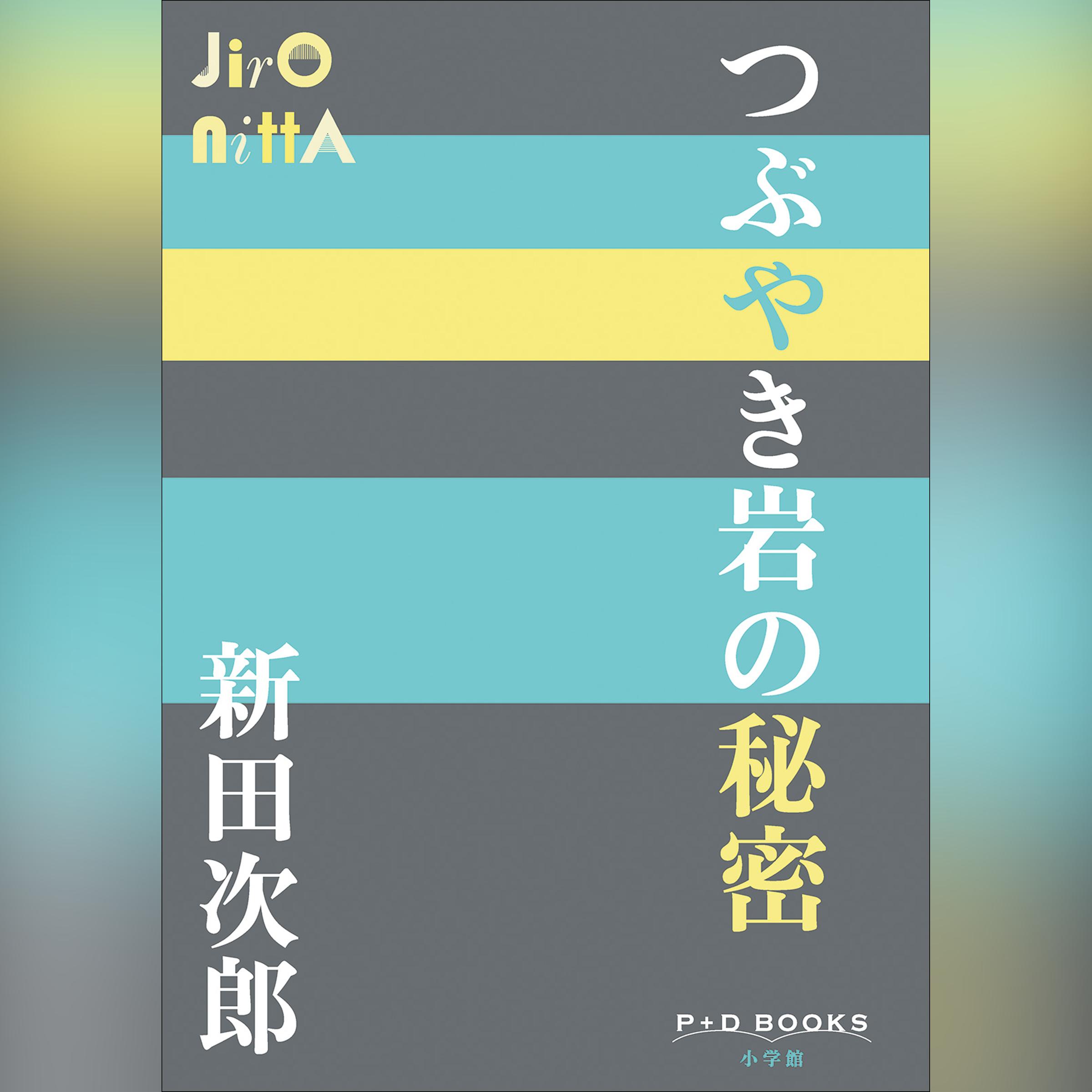 つぶやき岩の秘密　（P+D BOOKS）