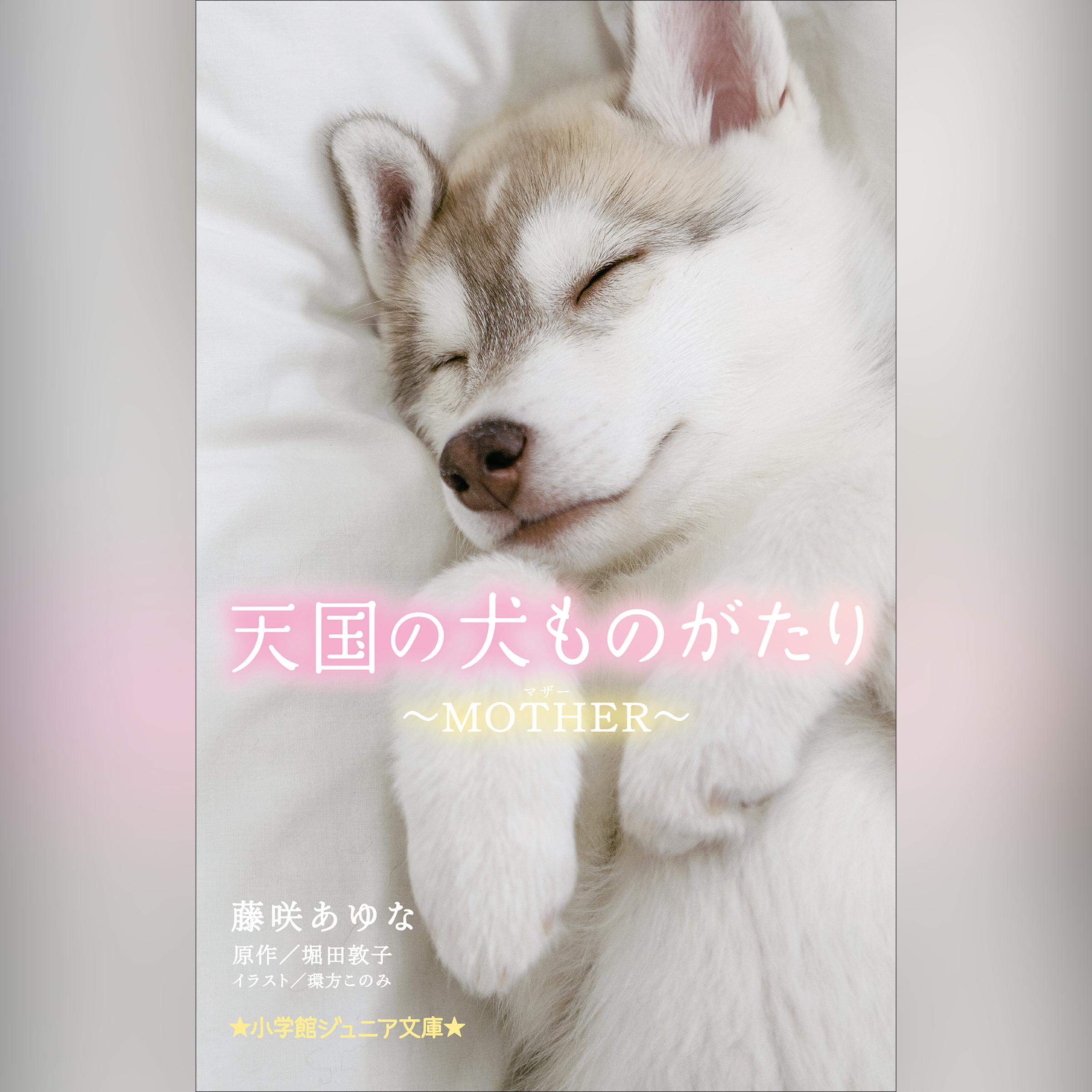 天国の犬ものがたり～MOTHER～ （小学館ジュニア文庫）