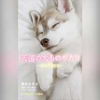 天国の犬ものがたり~MOTHER~ (小学館ジュニア文庫)