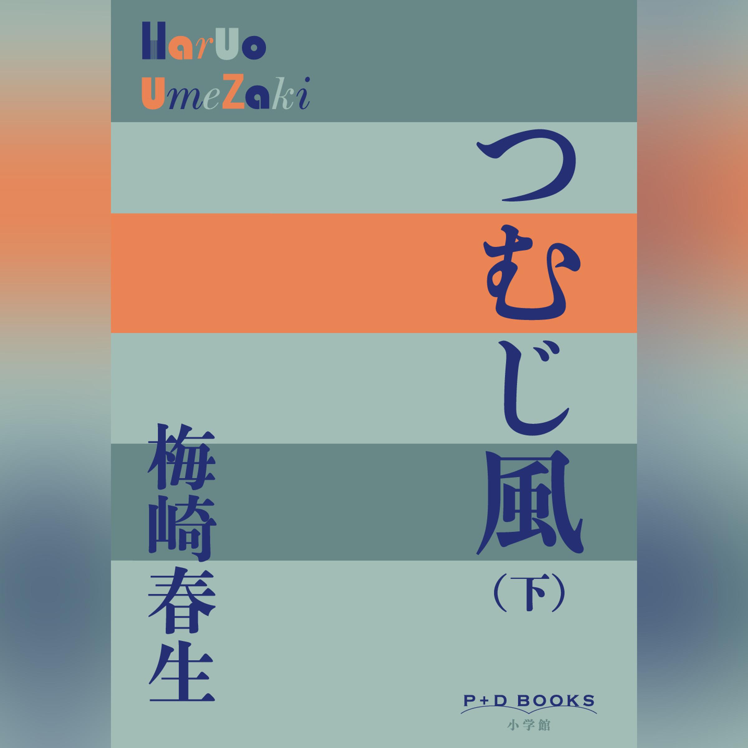 つむじ風（下）（P+D BOOKS）