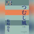 つむじ風(下)(P+D BOOKS)