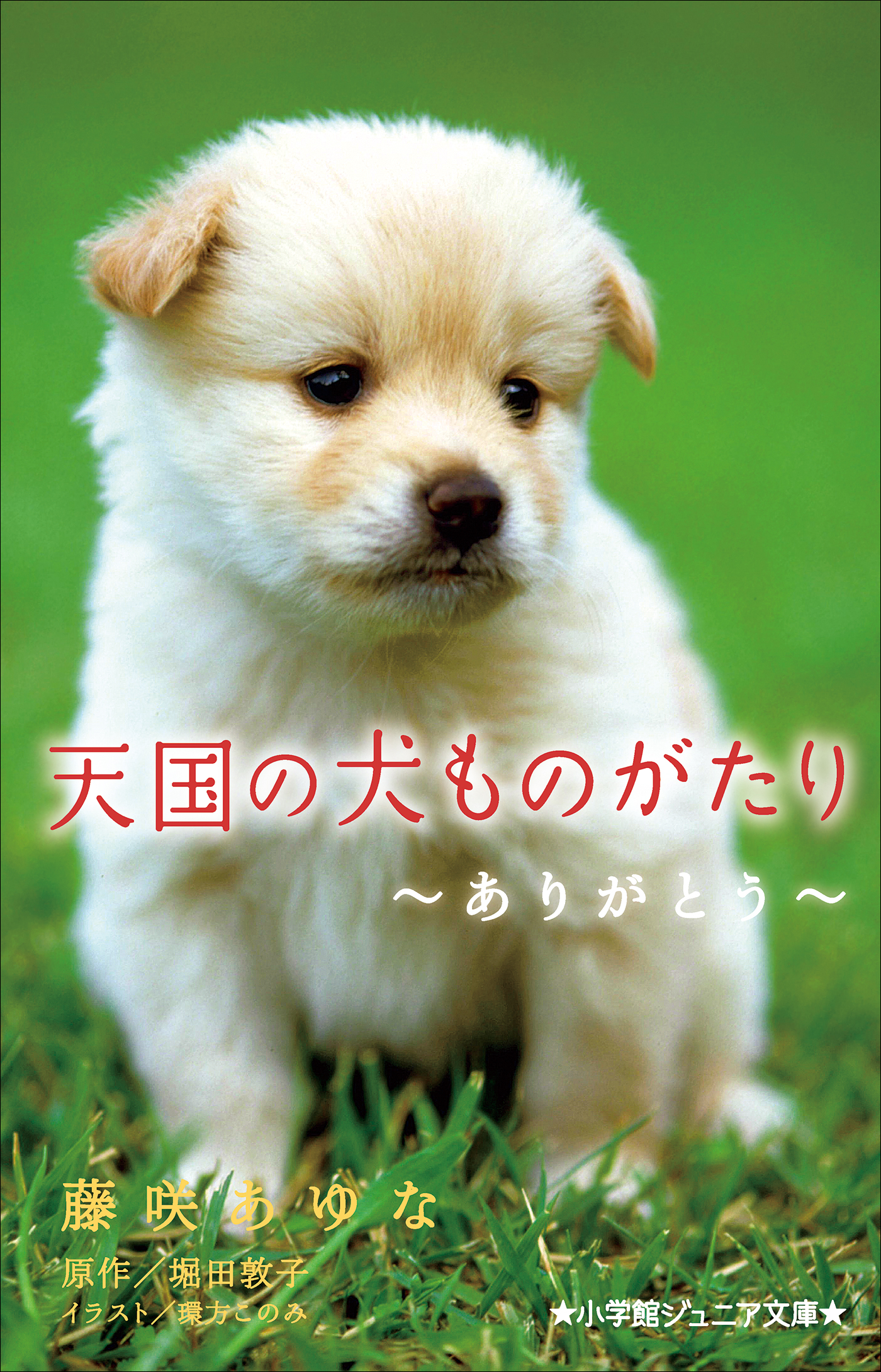 天国の犬ものがたり～ありがとう～（小学館ジュニア文庫）