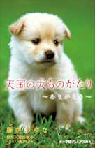 天国の犬ものがたり~ありがとう~(小学館ジュニア文庫)