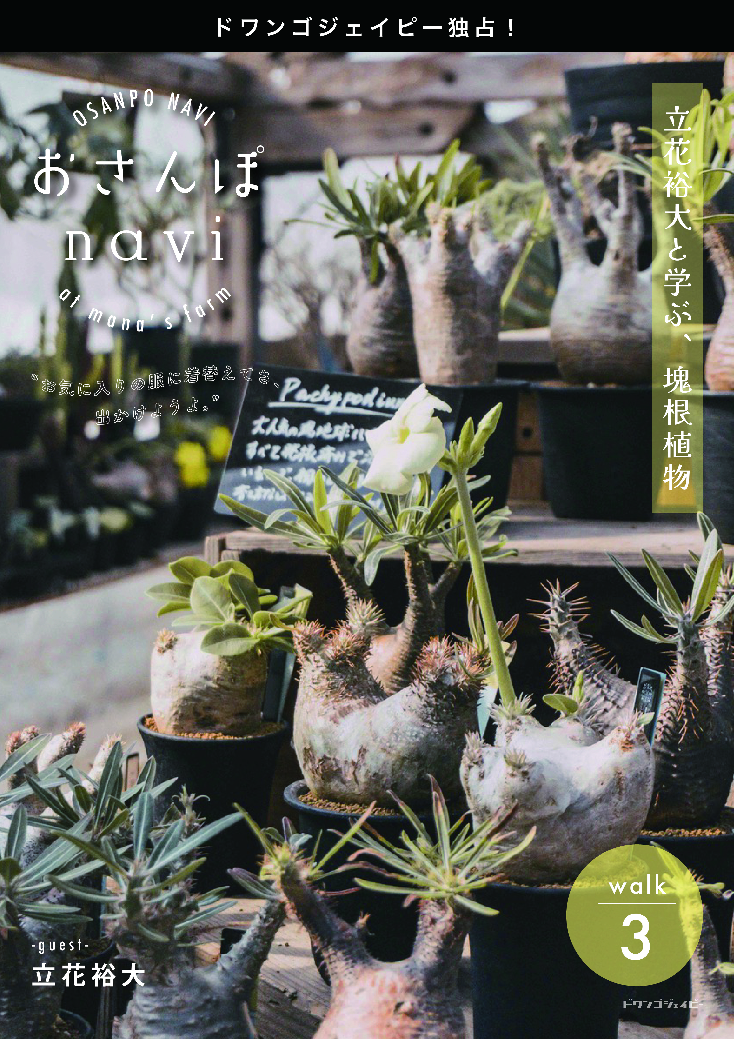おさんぽnavi Walk3 立花裕大