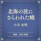 北海の波にさらわれた蛾(小学館の名作文芸朗読)